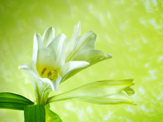 426474 (a): :1600x1200